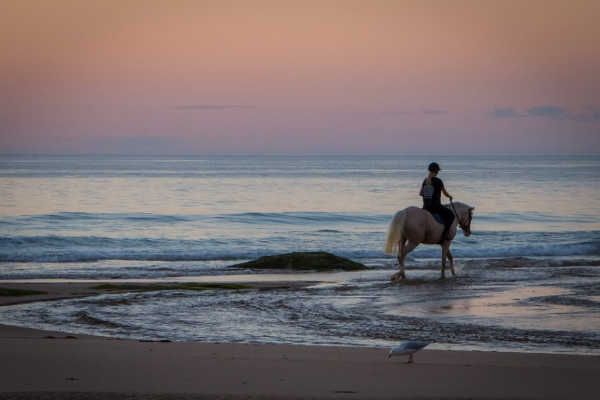 Horse Riding at Apollo Bay