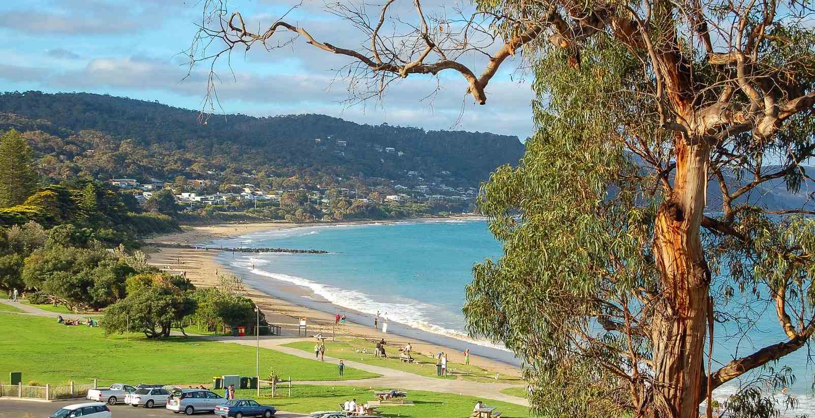 a summer day overlooking lorne