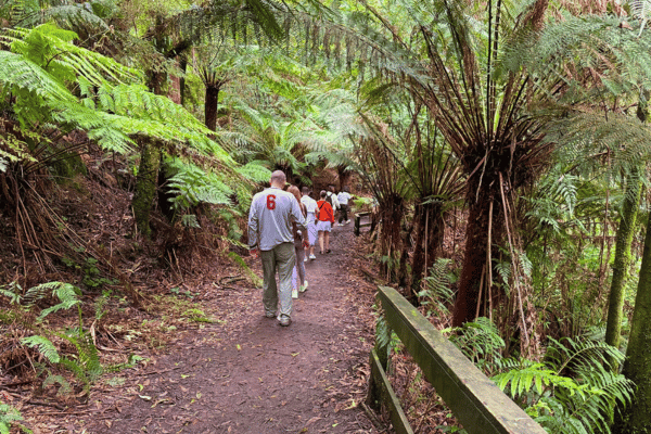 Melba Gully