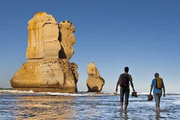Large Coach - Great Ocean Road Tour
