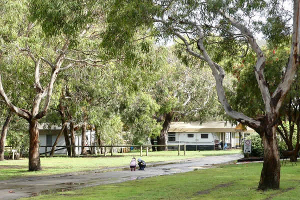 Kennett River, Great Ocean Road