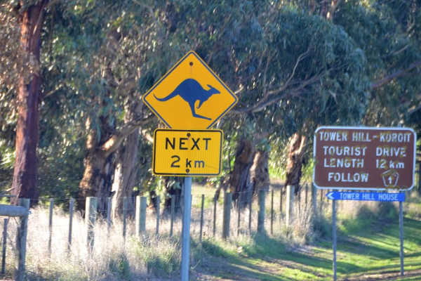 The Great Ocean Road