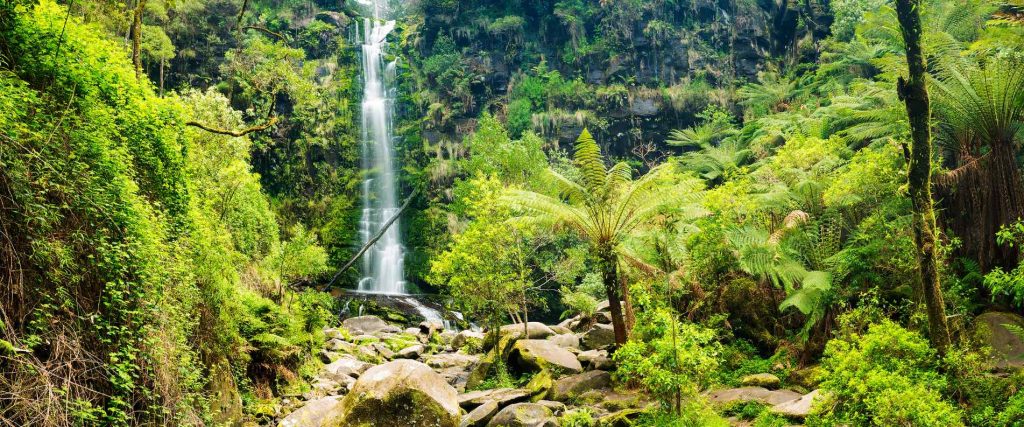 Erskine Falls in the Great Otways
