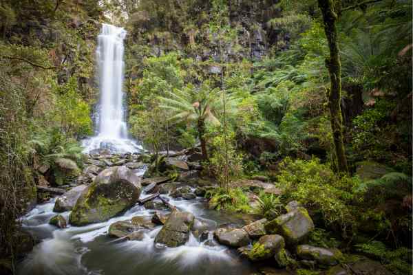 Erskine Falls in the Great Otways